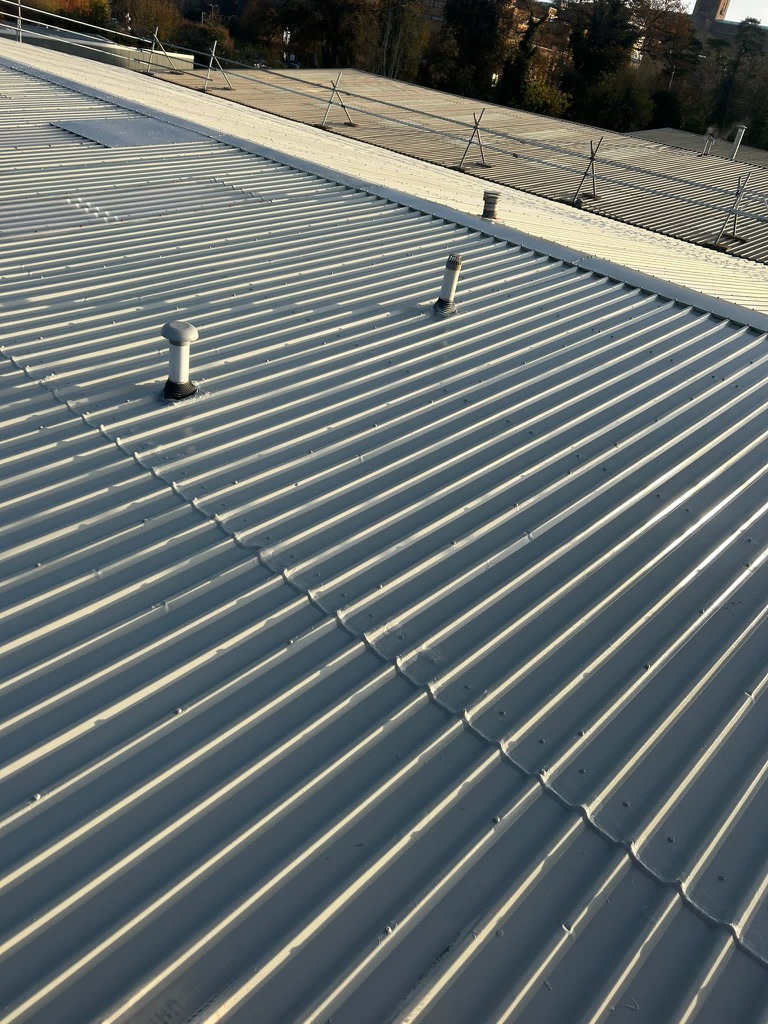 Metal roof installation with safety rails